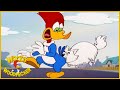 Woody Woodpecker Show | K-9 Woody-O | Woody Woodpecker Full Episode | Kids Cartoon | Kids Movies
