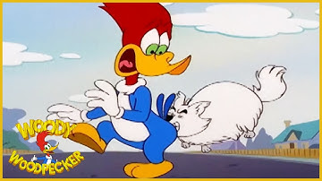 Download Woody Woodpecker Japan Mp3 Free And Mp4