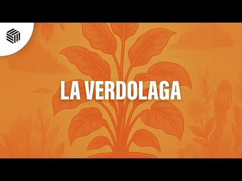 YouTubeでNot Kiddin - La Verdolagaを視聴