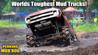 Worlds Toughest Mud Trucks vs Perkins Mud Bog!