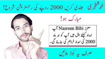 2000 pkr free | 786 online registration | 786 check online 2022 | 786 online apply | Ehsaas program