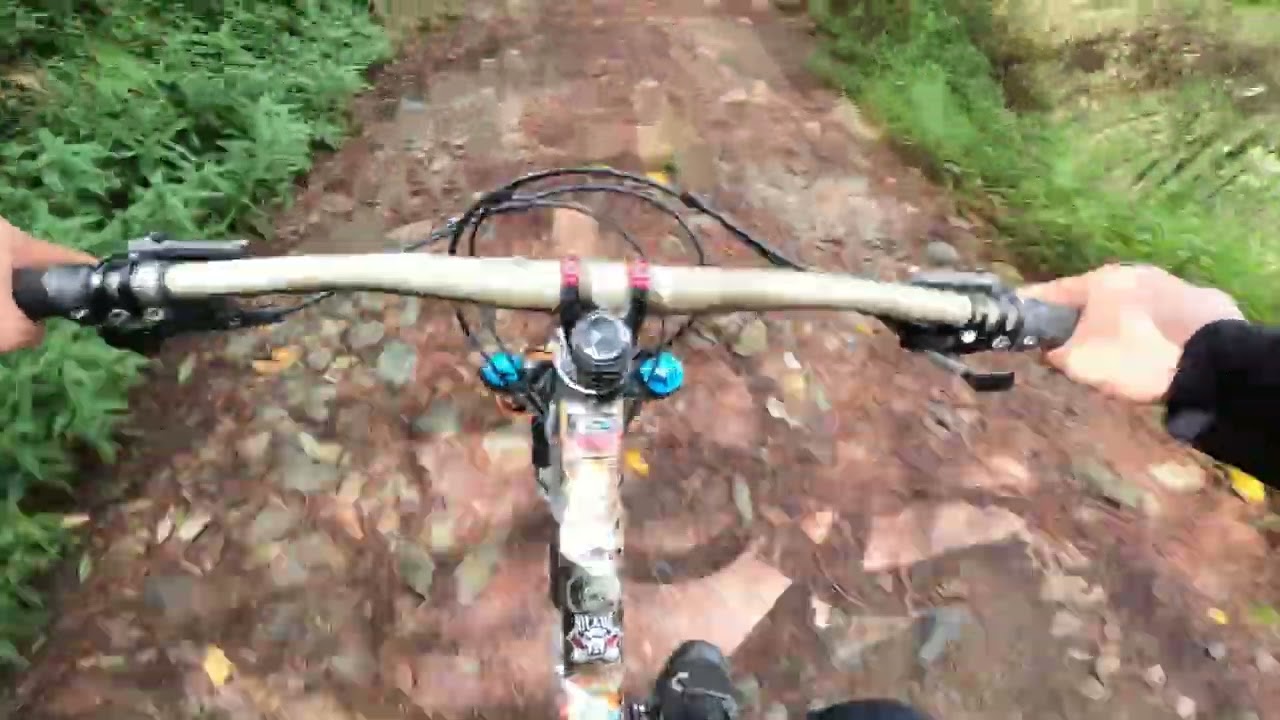 Communal Bike Ride With Jordan Ibis.