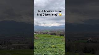 Yeşil Görünce Bizim Mal Gütme İsteği Vol2