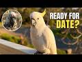 When you try to get ready for a date but you're a bird...