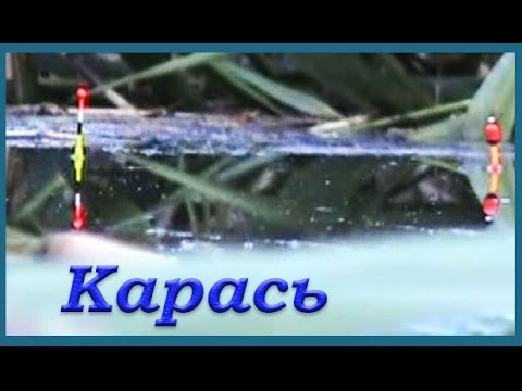 поплавочная удочка красавица кубань