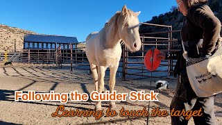 Task 05: Marvel learns to follow the guider stick.