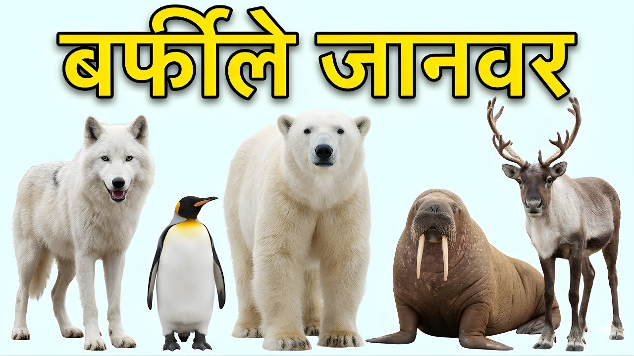 10 आर्कटिक जानवर | Arctic Animals for Kids ❄️🐻🐧