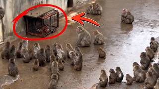 Punch's First Meeting With the Group – This Is Where It All Started!