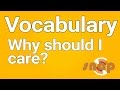 Vocabulary in reading (1/2) — importance and linguistic concepts