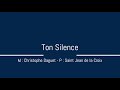 Ton silence  christophe daguet