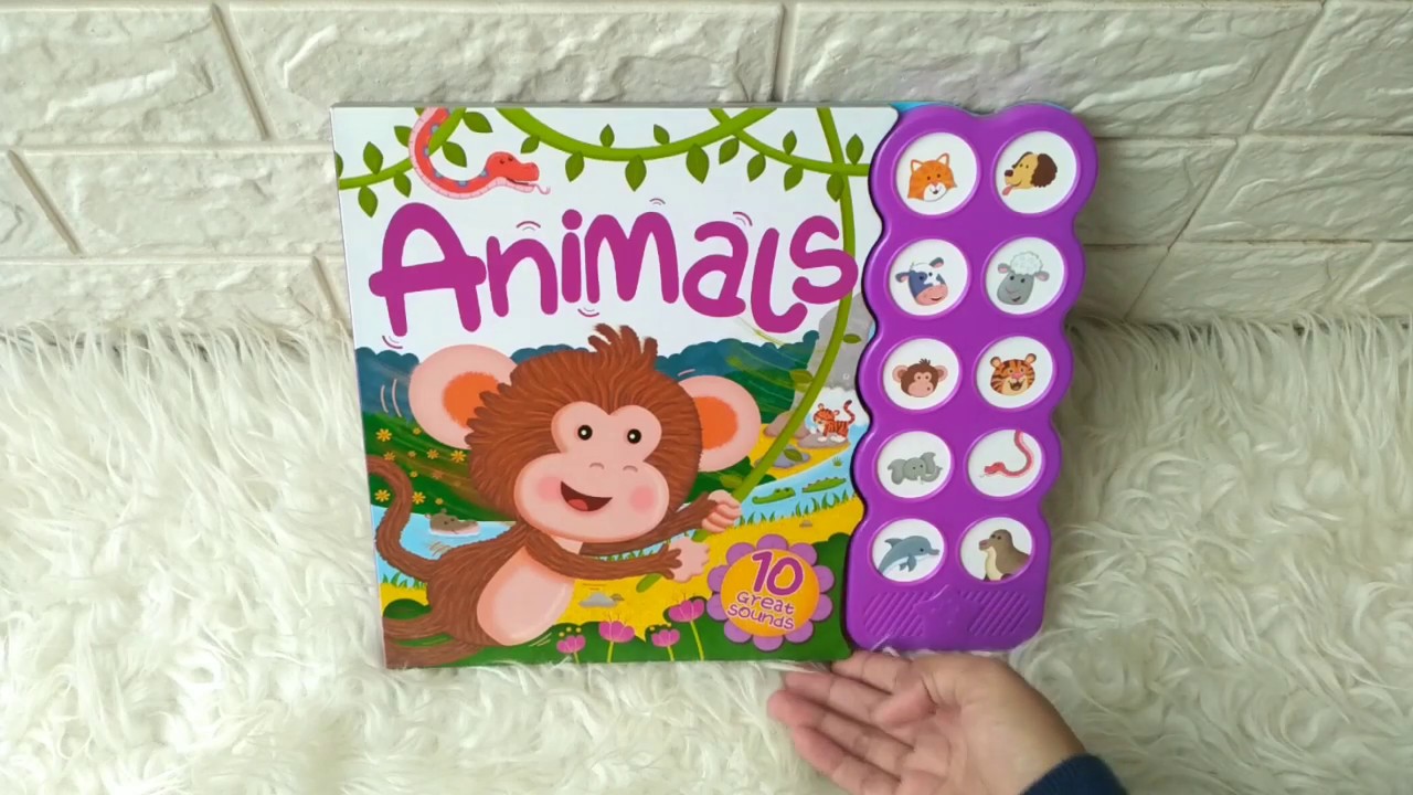 Animals Sound Board Book with 10 Great Sounds - YouTube