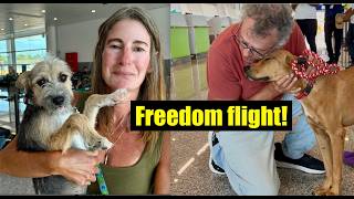 Our Epic Rescue flight to Canada!