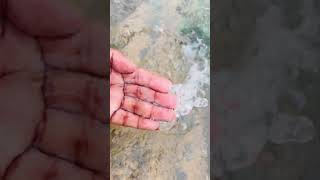 💧 Relaxing 4 Fingers Water Sounds | ASMR White Noise for Deep Sleep, Study Focus & Mental Calm