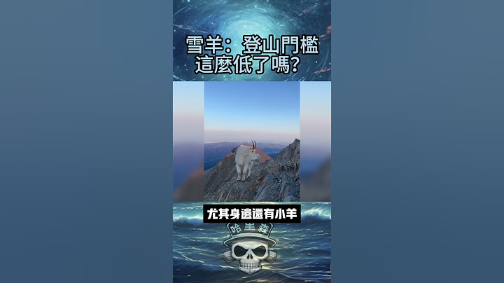 雪羊領地意識爆表 登山者遭遇驚險時刻 ｜歐陽哈里森 #大開眼界