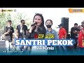 SANTRI PEKOK - DINI KURNIA FT. ONE PRO LIVE PETIK LAUT PANCER  | Adinda Audio