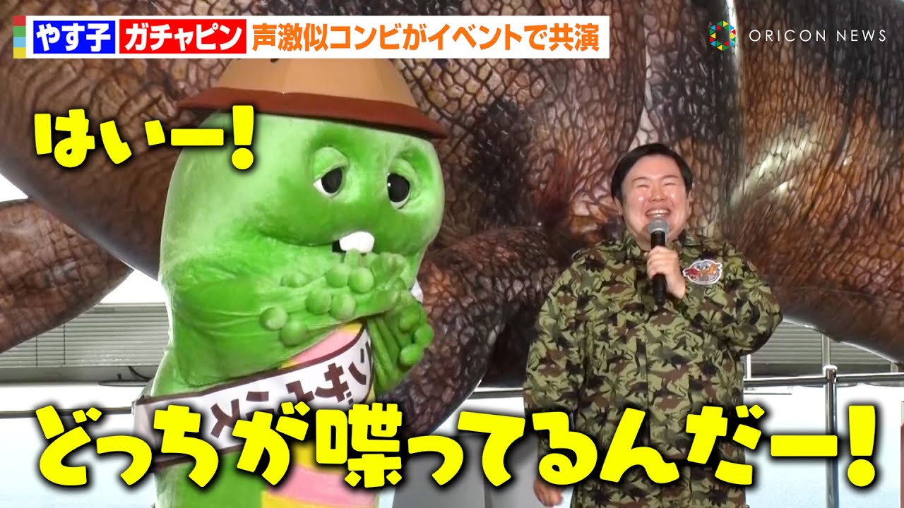 公の場での発言・インタビュー報道記録