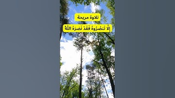 تلاوة مريحة إِلَّا تَنصُرُوهُ فَقَدْ نَصَرَهُ اللَّهُ #اكسبلور #القرآن_الكريم