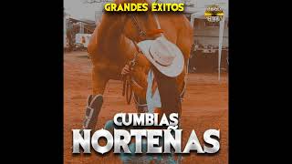 Video thumbnail of "Cumbias Norteñas - Rosa Maria"