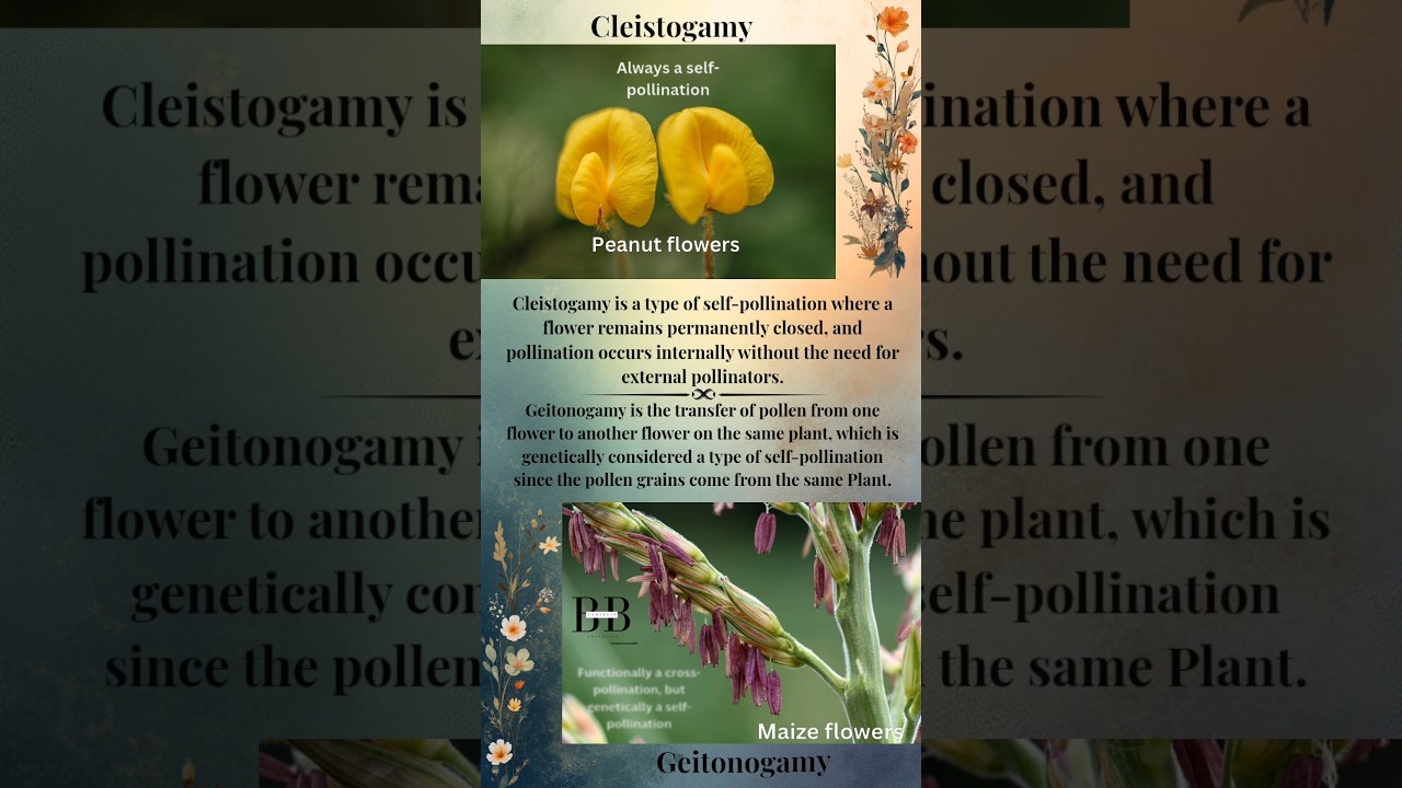 Cleistogamy & geitonogamy 