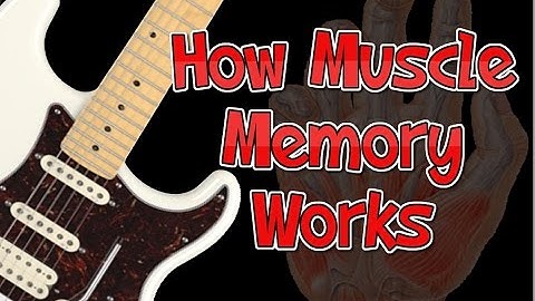 How Muscle Memory Works