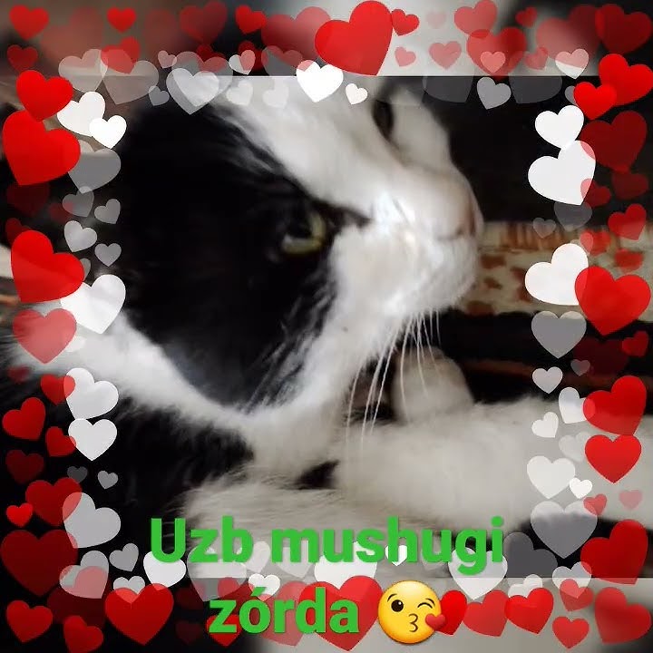 Olomon ichida yalangoch ayollar Mast rus ayollar onlayn porno