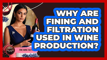 Why Are Fining And Filtration Used In Wine Production? - Fine Wine Facts