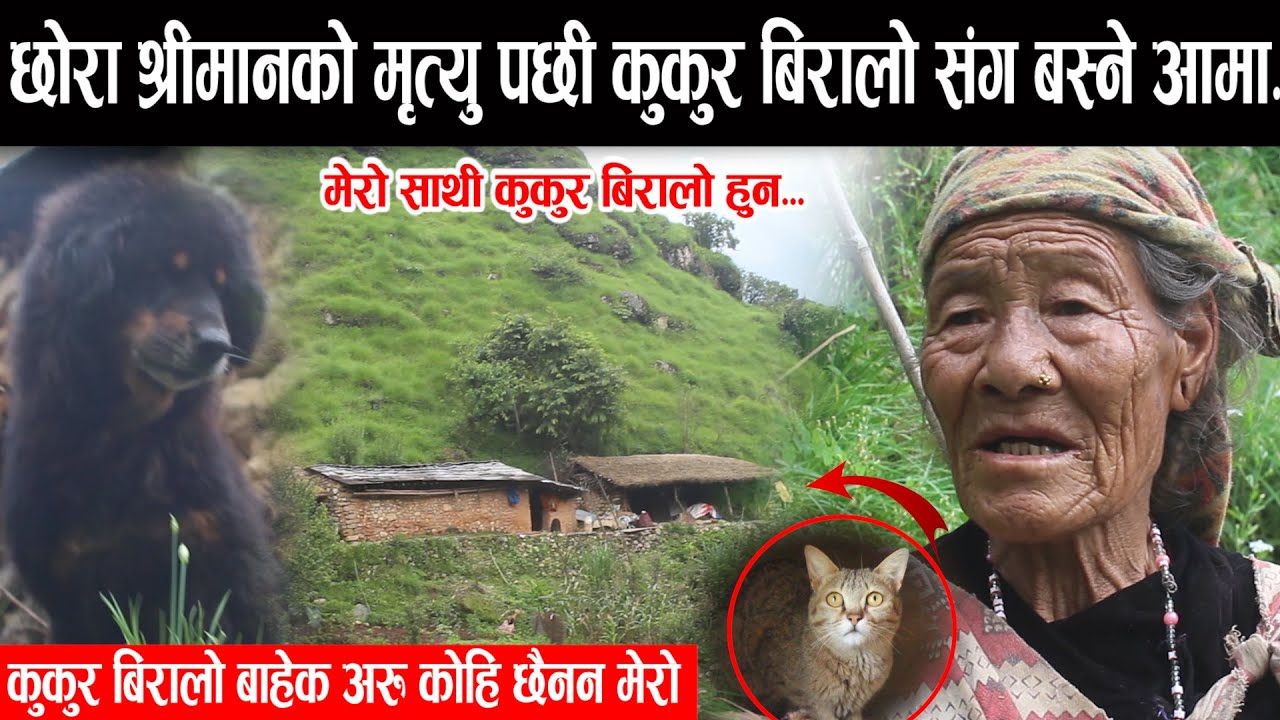 श्रीमान र छोराको मृत्यु पछी एक्लै कुकुर बिरालो संग बस्ने आमाको कथा.. Gtv
