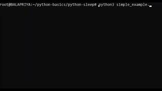 Python print after sleep for x seconds