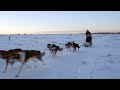 DOG SLED TRAINING WITH ALASKAN HUSKIES