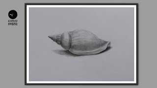 How To Draw A Seashell || Pencil Sketch || Drawing Tutorial || Art Video