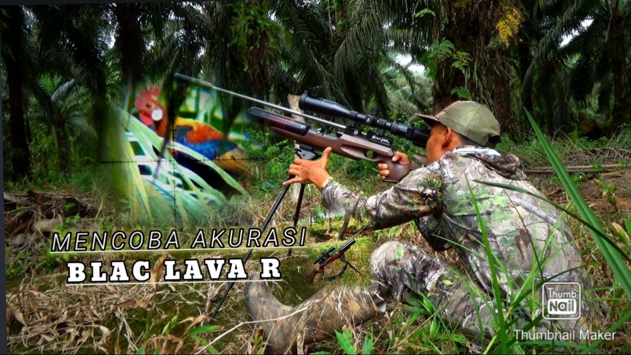 mencoba akurasi yunit baru BLAC LAVA R,hasilnya sangat memuaskan,BERBURU AYAM HUTAN