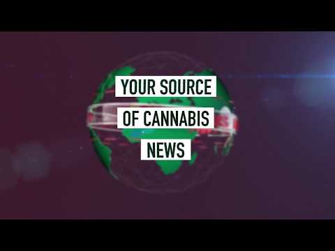 Cannabis News Network: Your Source of Cannabis News