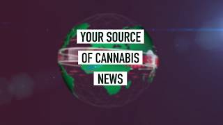Cannabis News Network: Your Source of Cannabis News
