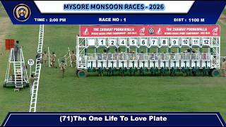 Race No 1 The One Life To Love Plate