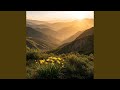 Touched by the Sunlight