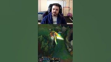 New Neeko is HILARIOUS