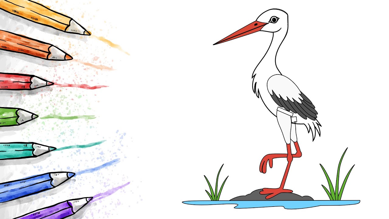 How to draw a stork step by step. Drawing a stork tutorial - YouTube