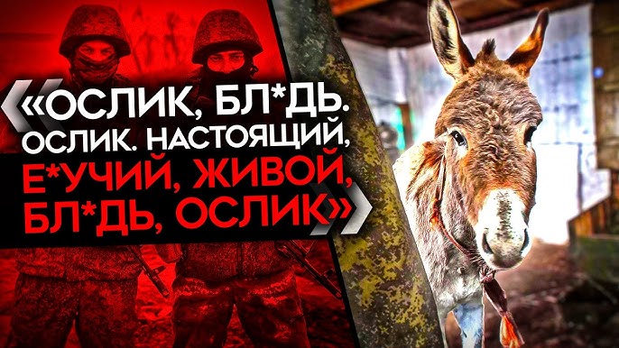 Детское порноТрупы порно 
