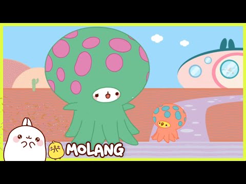 Molang - The aquarium | Full Molang episodes - Cartoon for kids