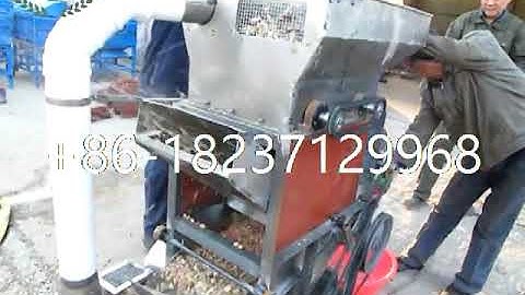 testing video for electric peanut shelling machine groundnut sheller machine