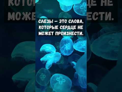 💫Слёзы - это