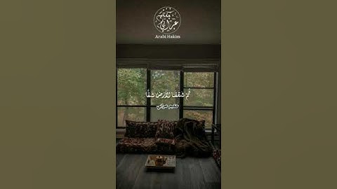 تلاوة هادئة وجميلة جدا بصوت #القارئ_عرابي_حكيم #explore #راحة_نفسية  #عبد_العزيز_سحيم #اكسبلور