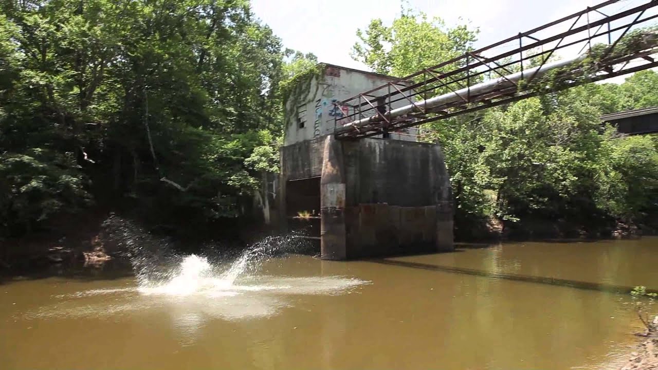 Neuse Rope Image Neuse River Rope Swing - YouTube