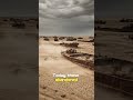 The Sea That Turned Into a Desert #history #shortsviral #historyfacts