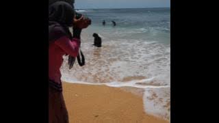 Beage - Kekasihku yang pergi