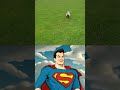 Amazing Sheep Rescues/ Неймовірний порятунок овець