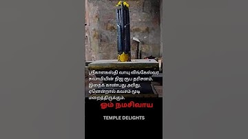Rare Picture of Srikalahasti Temple Shivan Lingam #templevlogs #srikalahasti #shivan #shorts