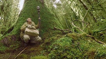 How to Find Silence in a Noisy World | Op-Docs 360