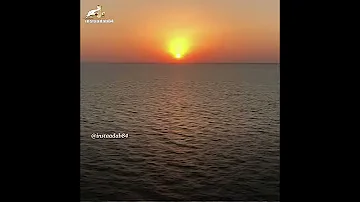 يا راحلا وجميل الصبر يتبعه ابن الفارض 