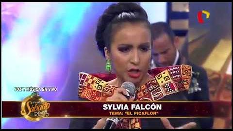 Thumbnail of Sylvia Falcón - EL Picaflor (En Vivo)